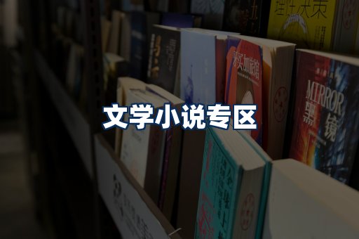 文学小说PDF展示